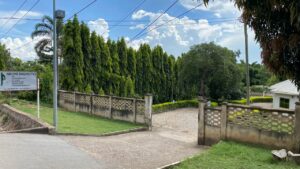 Why Mbijiwe Diagnostics